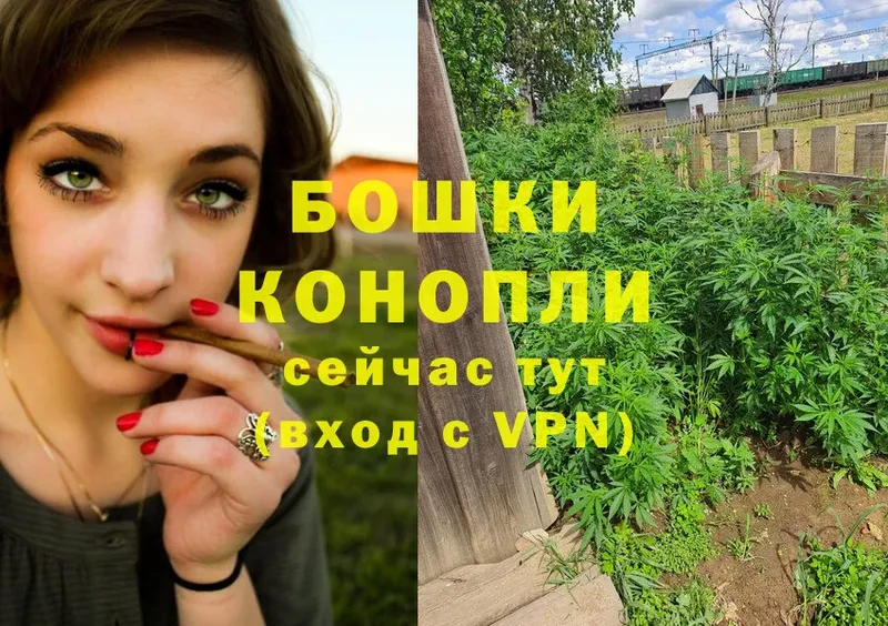 купить наркотик  Николаевск-на-Амуре  Бошки Шишки White Widow 